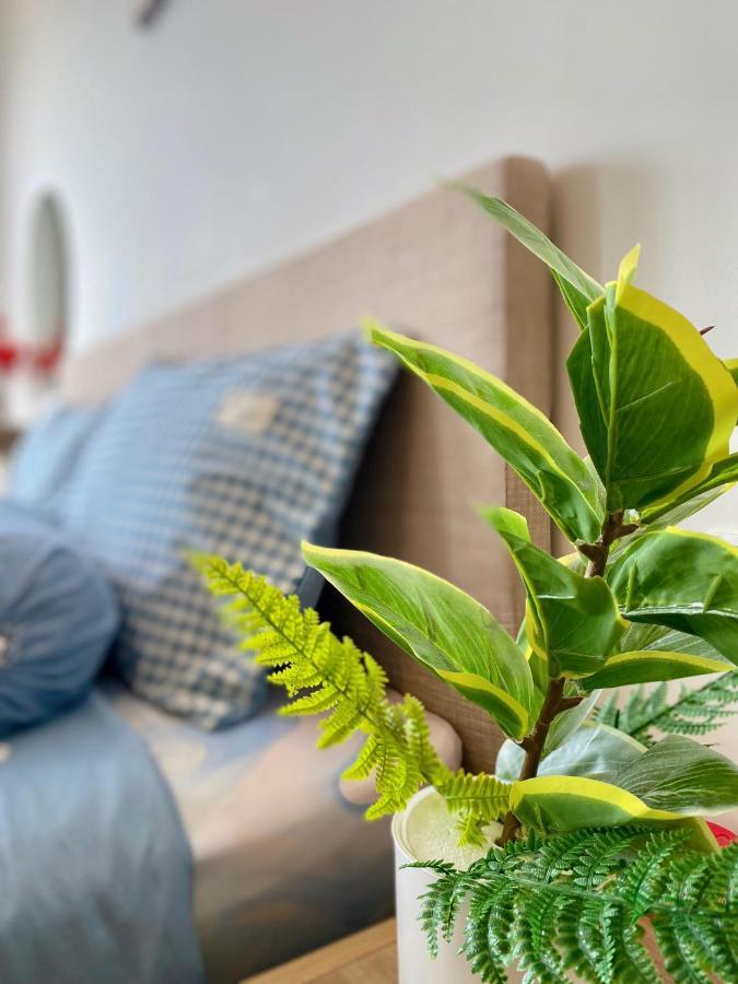 The Song Apartment Vung Tau - Boo Boo Homestay Bagian luar foto